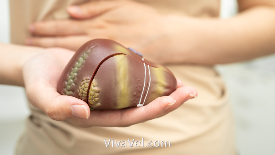 Liver Transplant Package