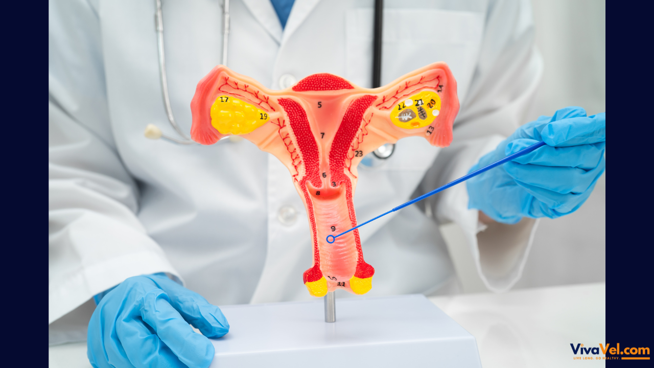 Vaginoplasty (Vaginal Tightening Surgery) | VivaVel Health | India