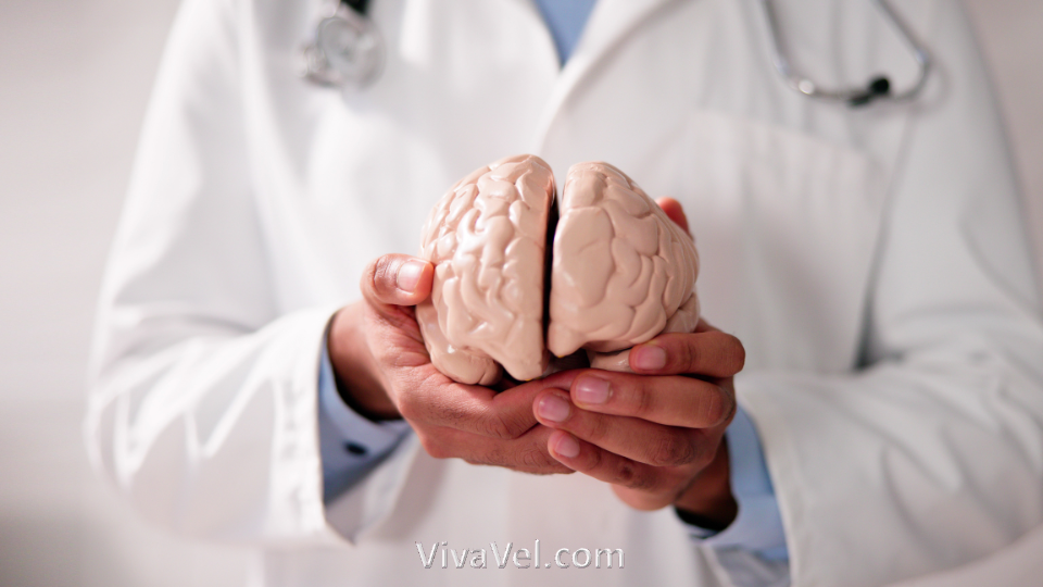 Neurorehabilitation therapy with professional support in India with VivaVel Health.