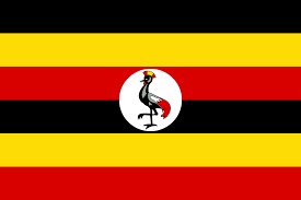 David Otieno Returns to Uganda After Successful Knee Replacement at Artemis Hospital, India