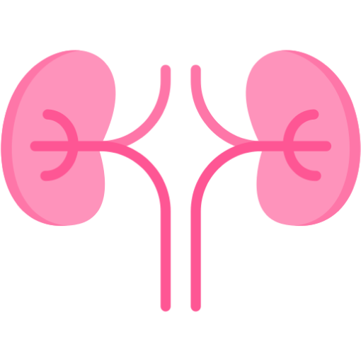 A nephrologist reviewing kidney imaging scans and lab results with a patient, with a model of the kidneys and dialysis equipment visible in the background.