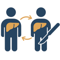 Transplant surgery and organ replacement care services for international patients in India