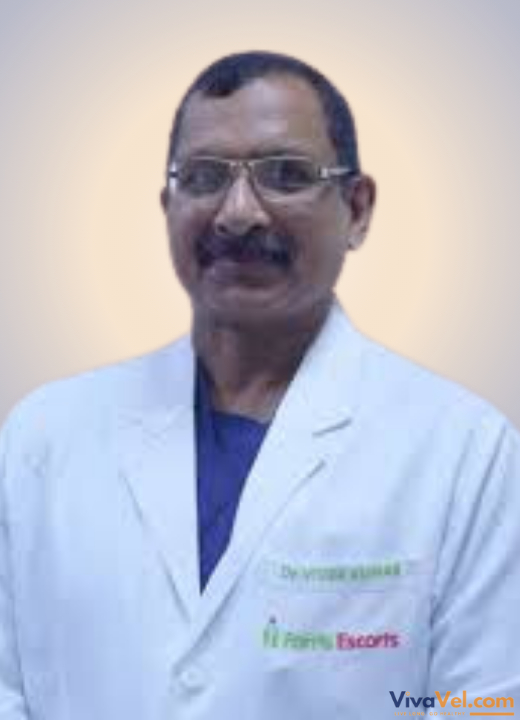 Vivek Kumar