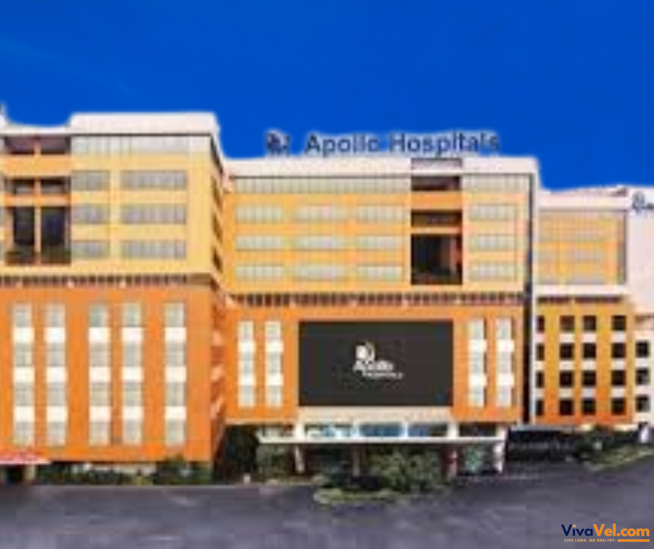 Expert doctors at Apollo Hospital, Mumbai, providing specialized consultations and personalized treatment plans for patients.