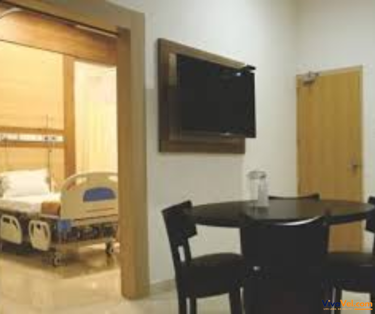 Dr. Rela Institute & Medical Centre, Chennai – renowned destination for liver transplants and global patient care via VivaVel.com