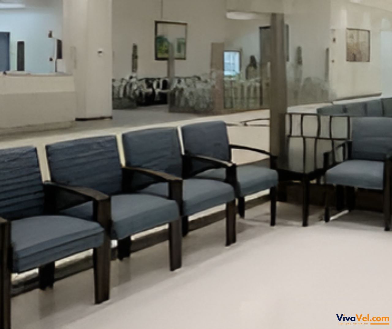 International patient reception services at Dr. Sulaiman Al Habib Hospital – managed by VivaVel.com