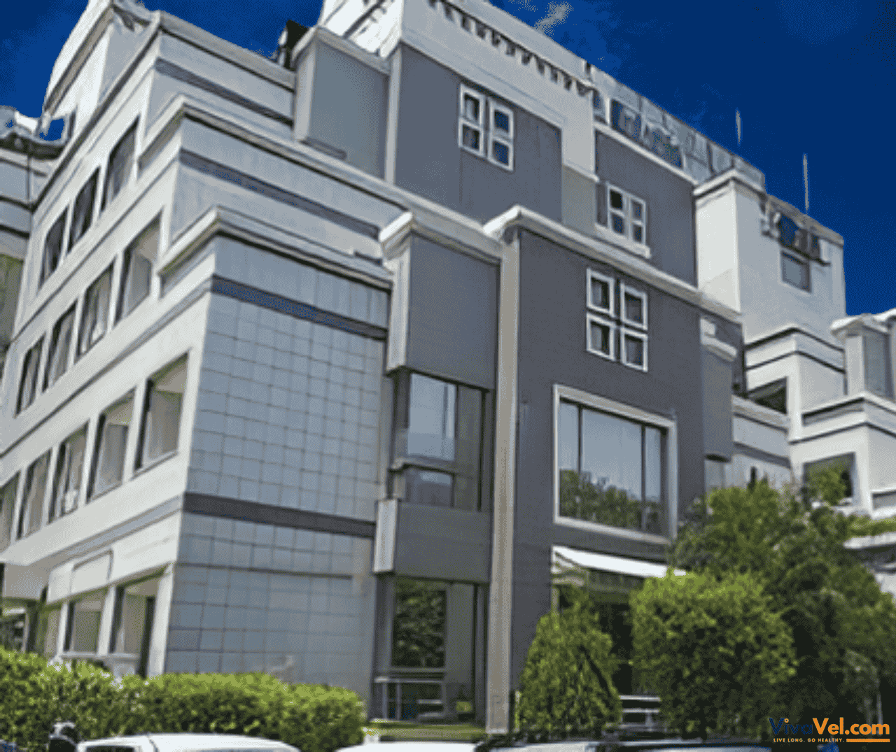 International patient services desk at Fortis Rajan Dhall Hospital – personalized medical travel support by VivaVel.com