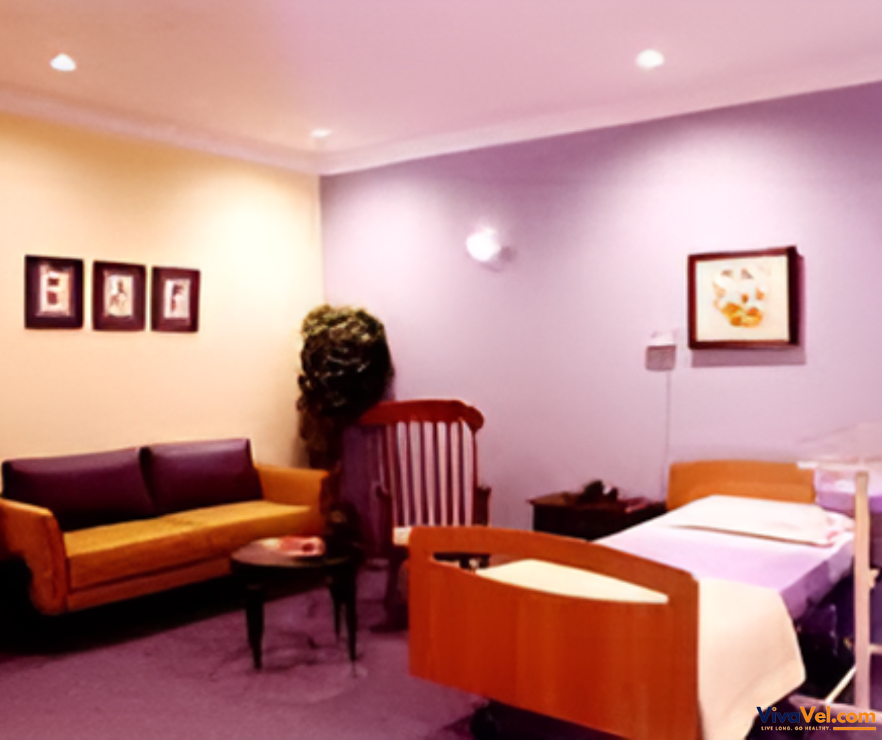 International patient consulting fertility specialist at Fortis La Femme – advanced IVF treatment arranged through VivaVel.com