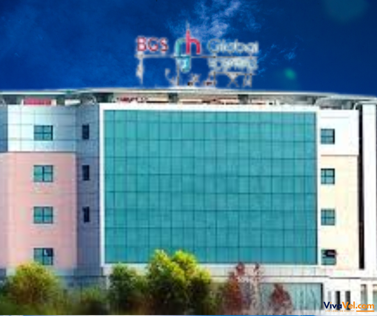 Dedicated international patient care team at Gleneagles BGS Hospital, Bengaluru – personalized support through VivaVel.com