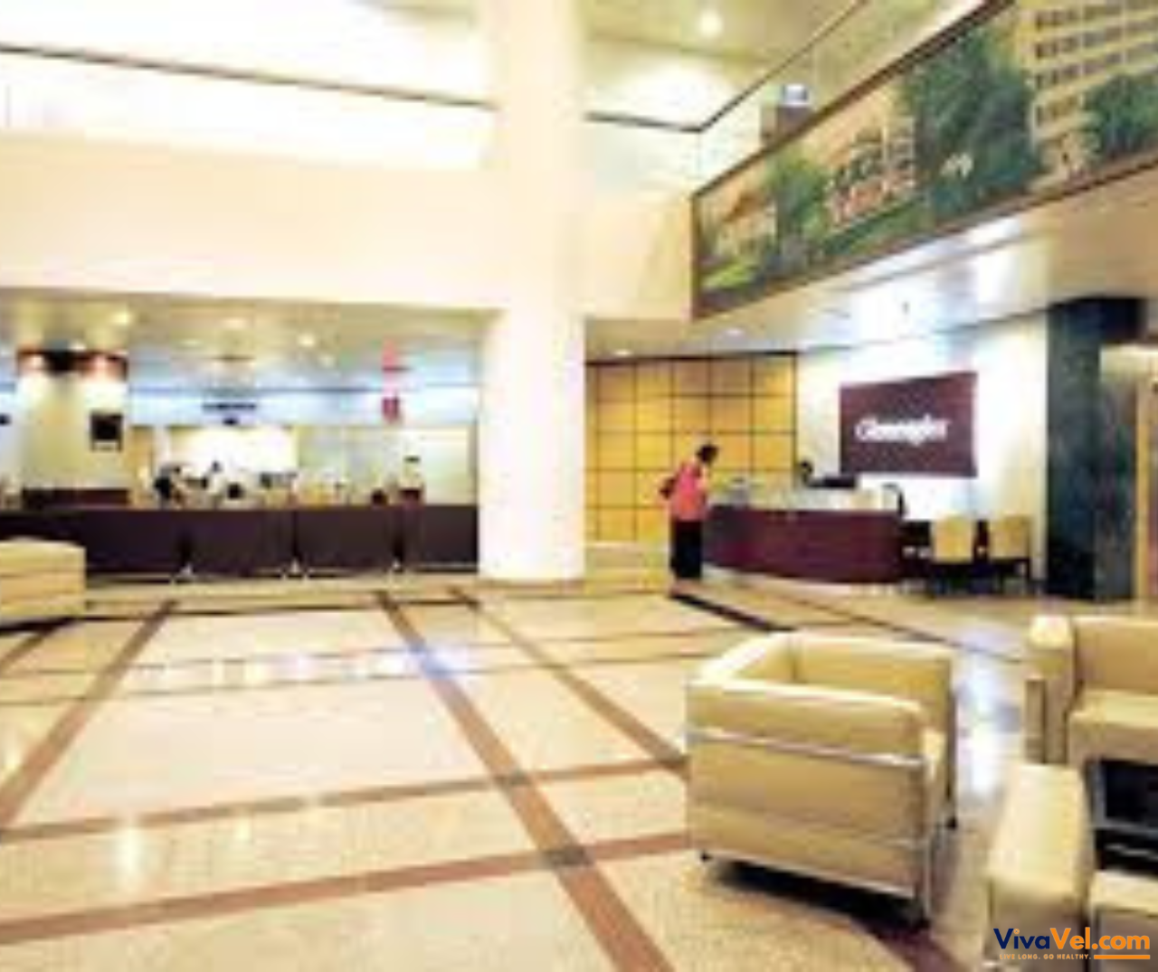 VivaVel connects international patients to expert care at Gleneagles Hospital