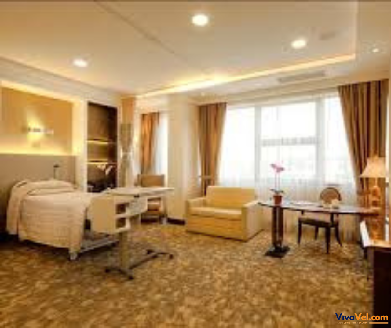 Gleneagles Hospital’s modern medical facilities accessed through VivaVel’s trusted network