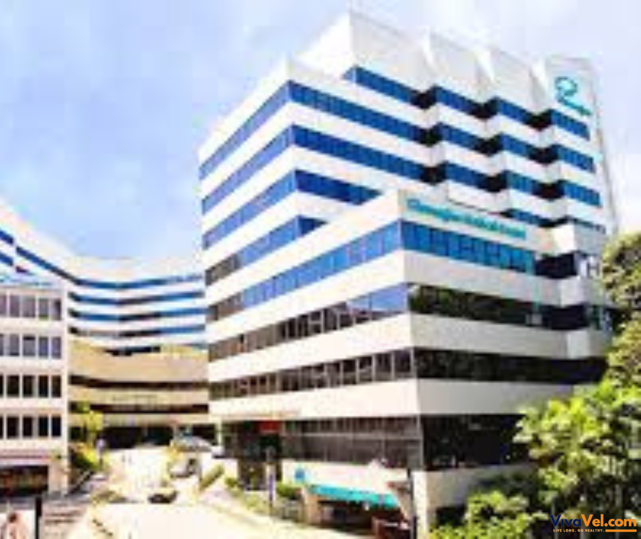 High-quality treatments and personalized care at Gleneagles Hospital via VivaVel.com