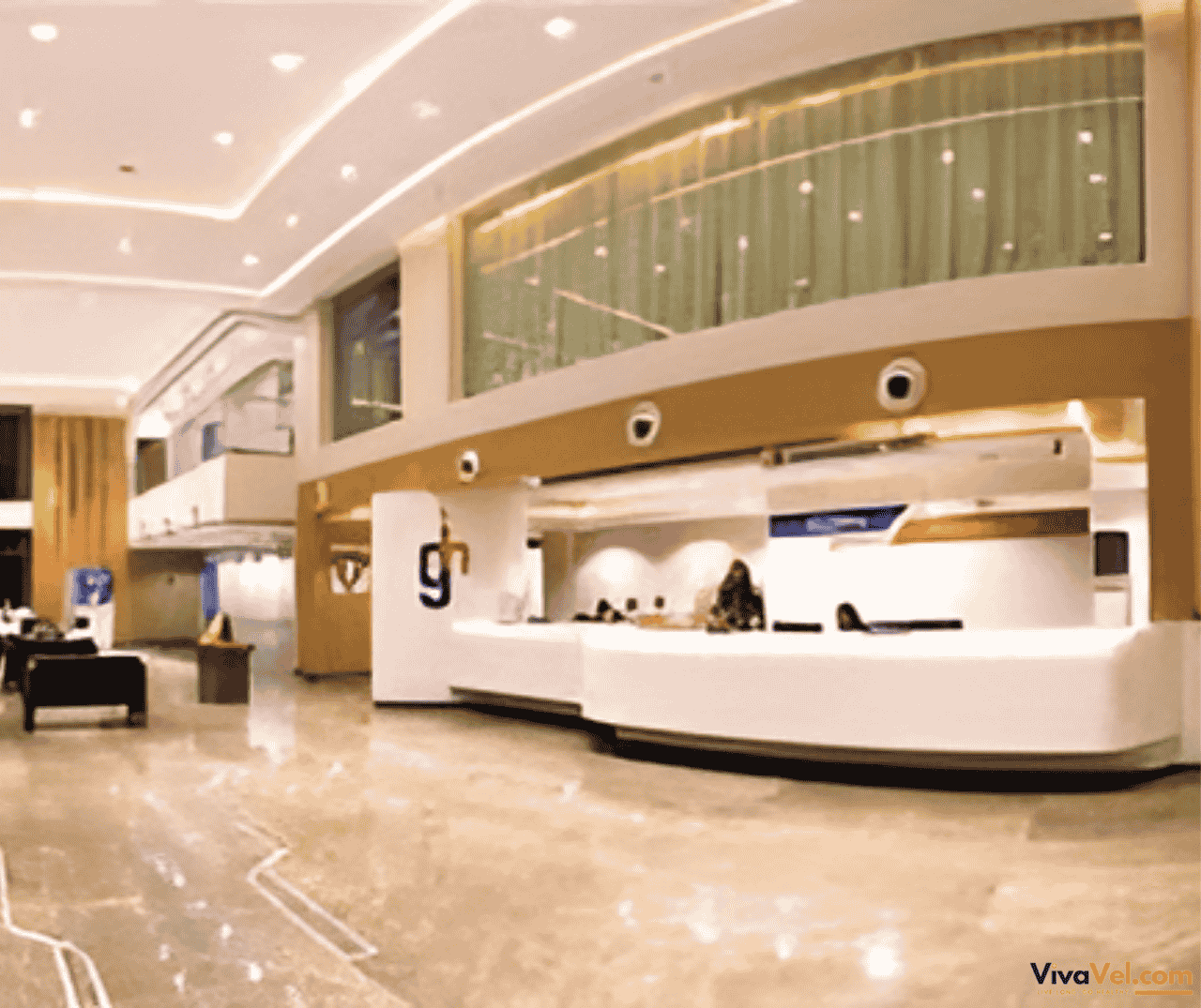 Specialist consulting an overseas patient at Global Hospital Mumbai – full coordination by VivaVel.com