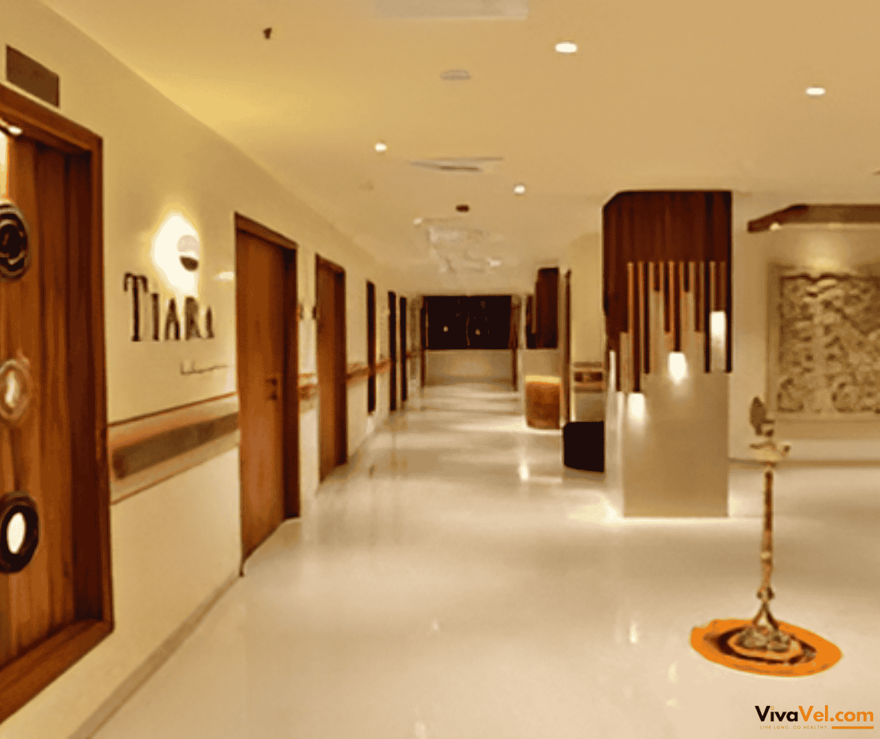 Advanced transplant and critical care services at Global Hospital, Maharashtra – trusted by international patients through VivaVel.com