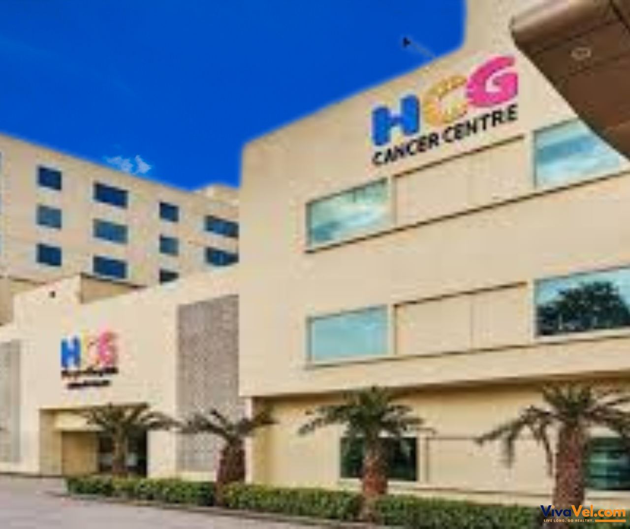 HCG Cancer Centre, Kalinga Rao Road, Bengaluru | VivaVel.com