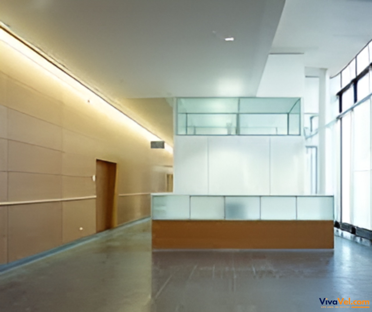 Expert care for global patients at Heidelberg University Hospital, supported by VivaVel.com