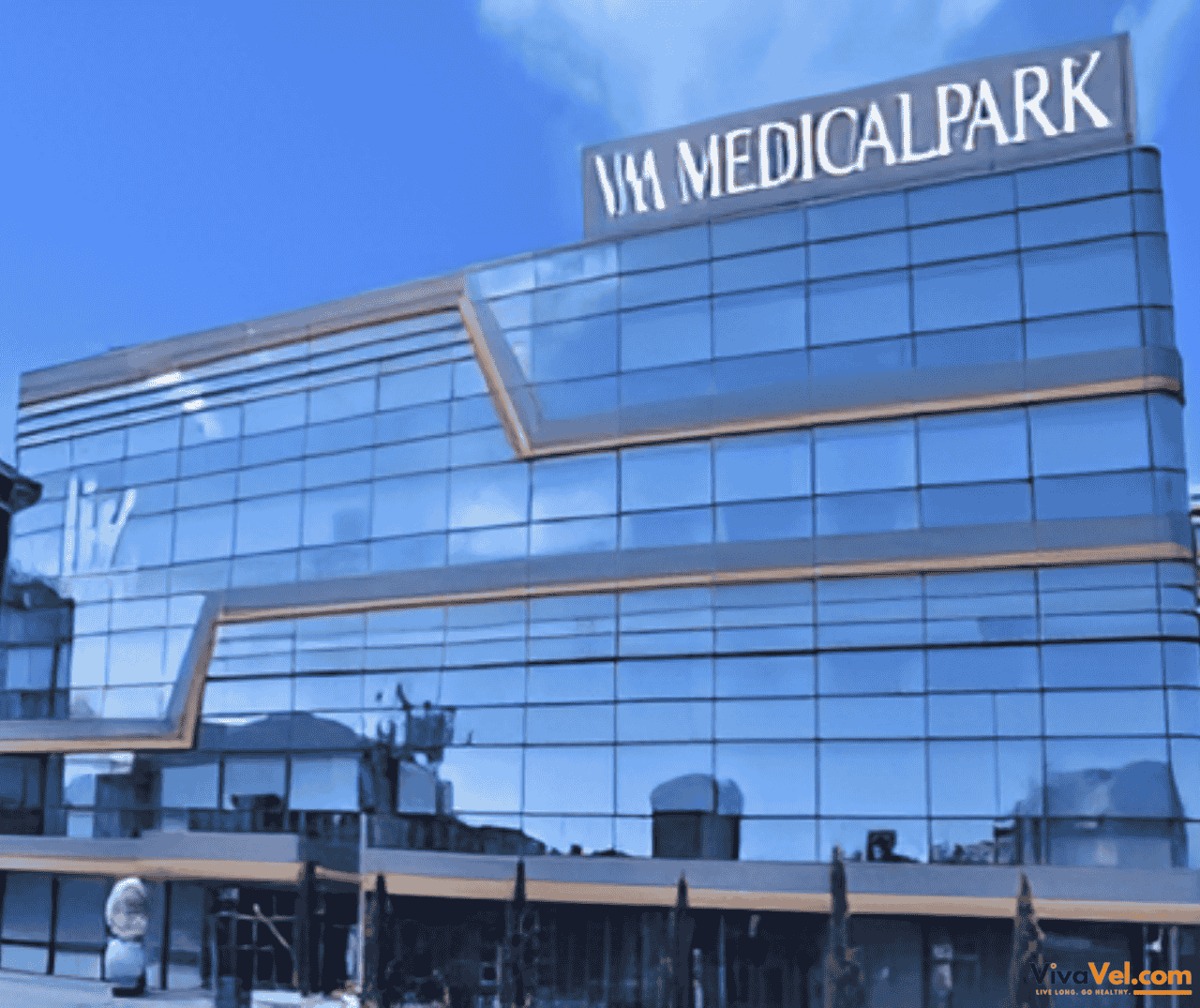 Global patient consultation at VM Medical Park Florya Hospital coordinated by VivaVel.com