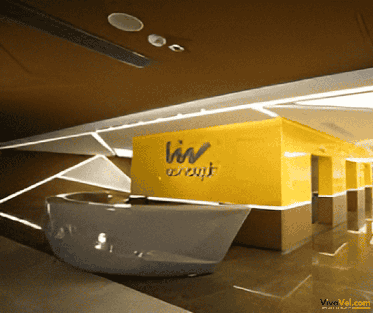 Dedicated reception for overseas patients at VM Medical Park Florya Hospital – supported by VivaVel.com