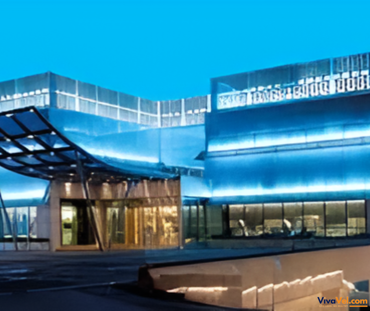 International patient support at Liv Hospital Istanbul, coordinated by VivaVel.com