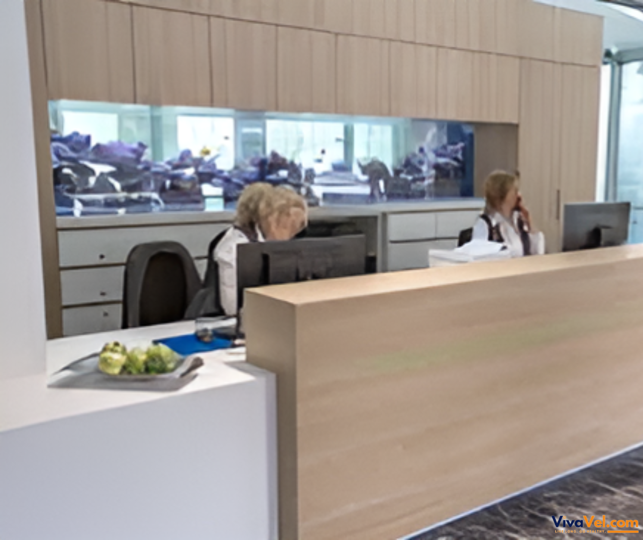 Expert consultation for international patients at LMU Klinikum Munich arranged by VivaVel.com