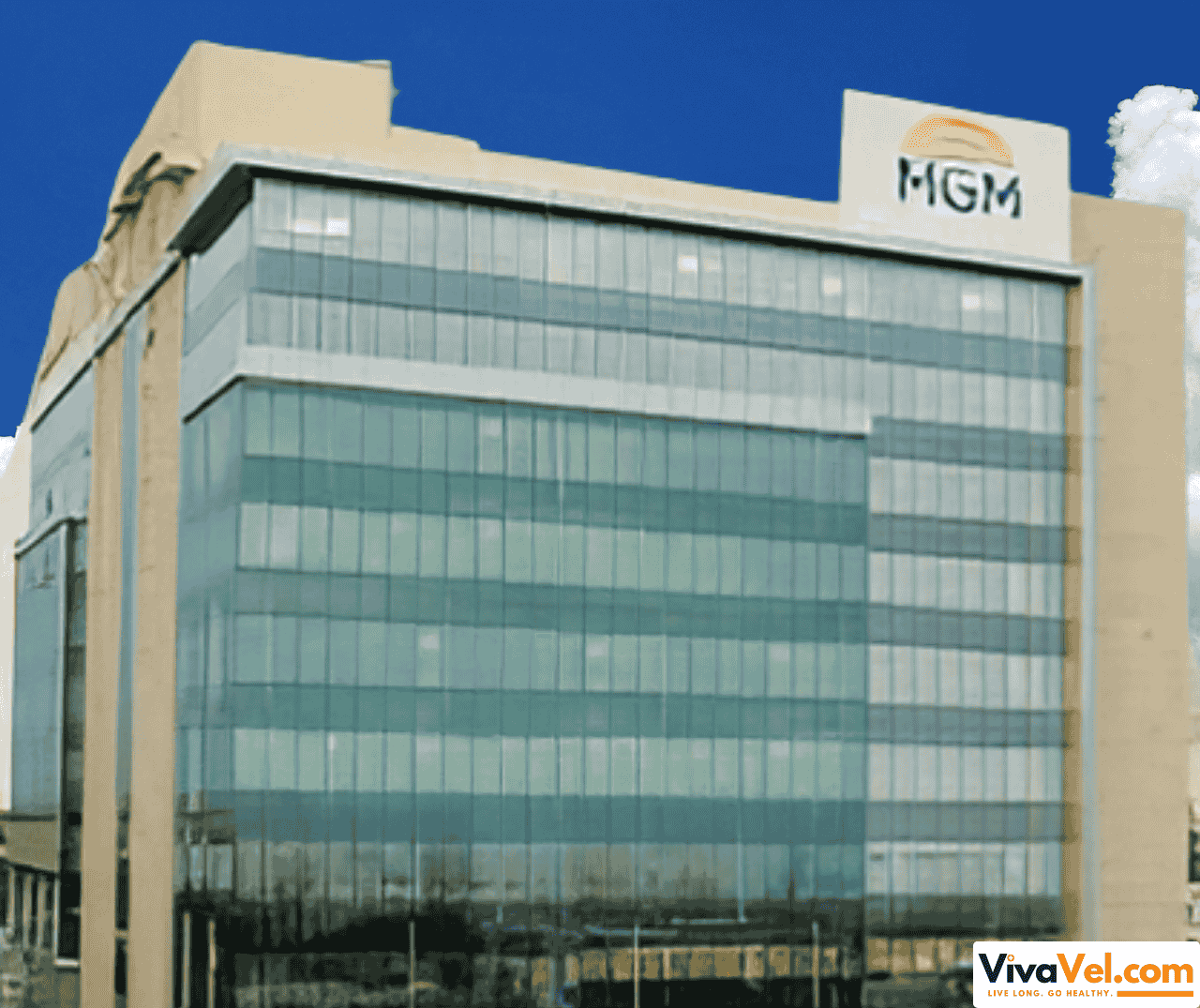 International patient consulting a specialist at MGM Chennai – coordinated by VivaVel.com