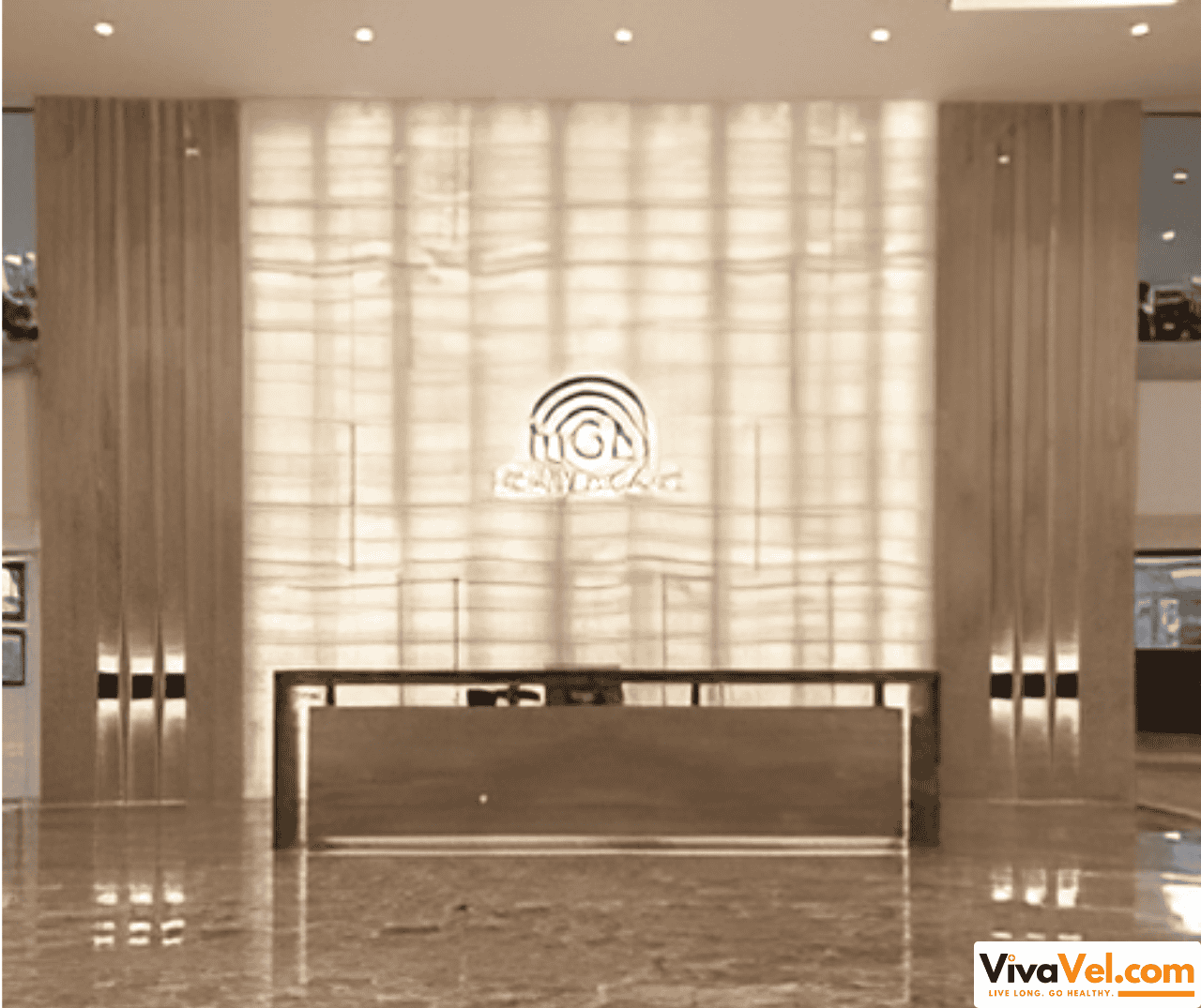 Dedicated international patient services at MGM Healthcare Chennai – full medical travel support by VivaVel.com