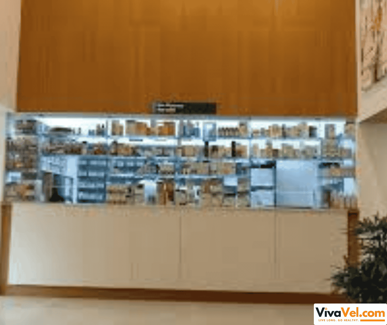 Specialist consultations at Max Multi Speciality Centre Noida – preferred by international patients with VivaVel.com support