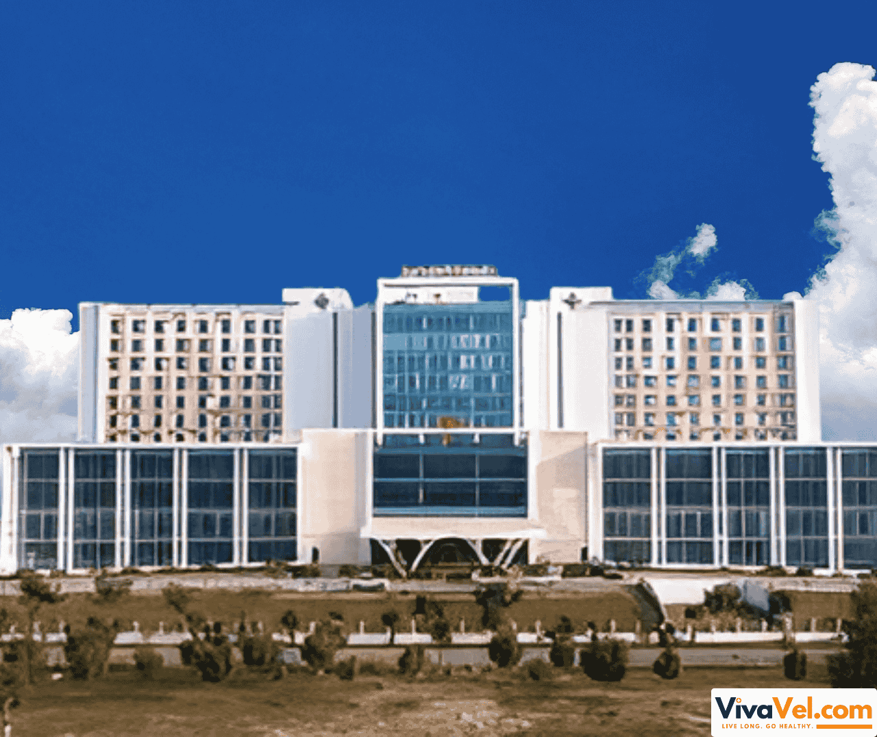 Dedicated global services desk at Medanta Lucknow – full support for overseas patients via VivaVel.com