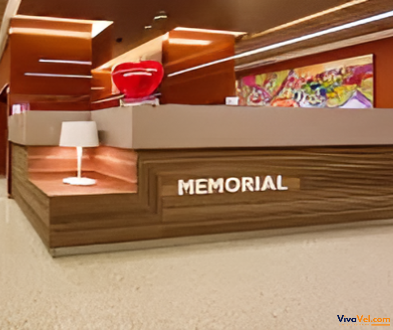 Advanced medical technology at Memorial Istanbul serving global patients with VivaVel.com coordination