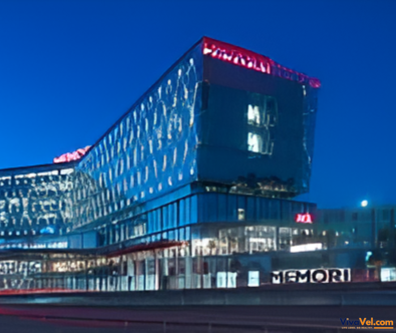 Global patient services at Memorial Hospital Istanbul – streamlined by VivaVel.com