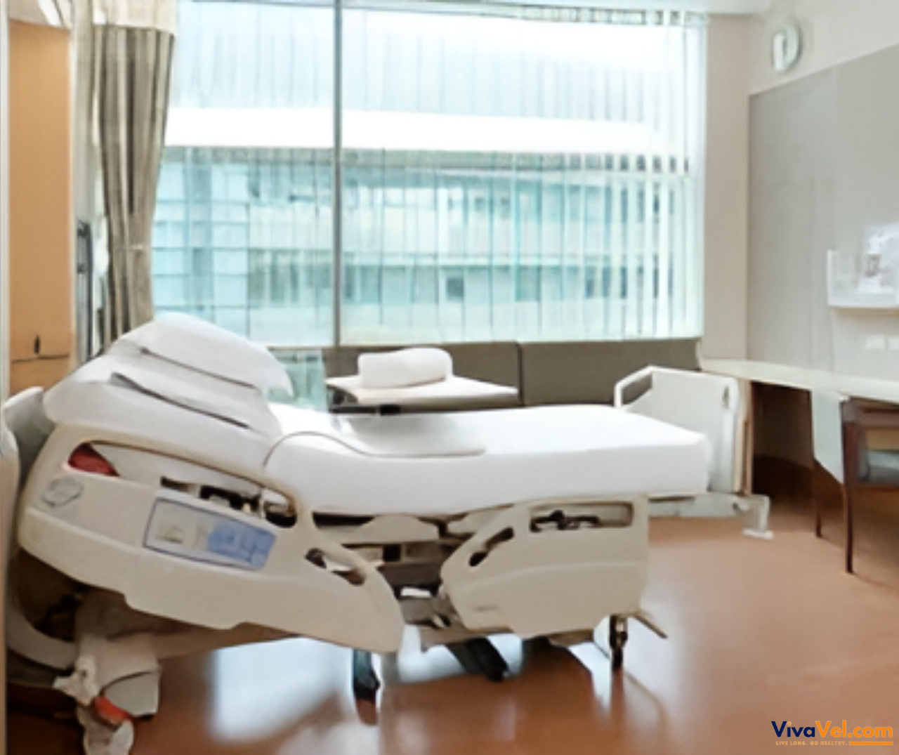 World-class specialists at Mount Elizabeth Hospital offering personalized care for global patients via VivaVel.com