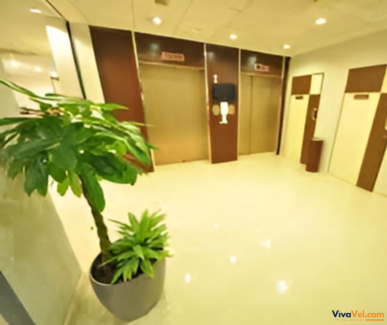Specialist doctors at Parkway East Hospital offering international care coordination via VivaVel.com