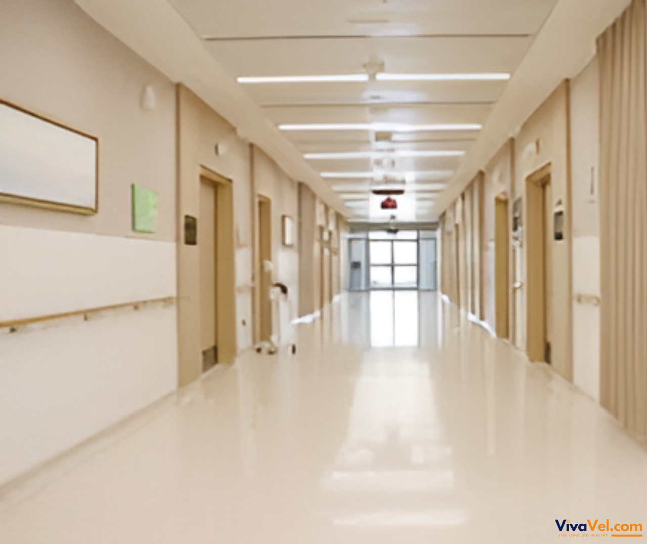 Specialist care at Saudi German Hospital Dubai for overseas patients supported by VivaVel.com