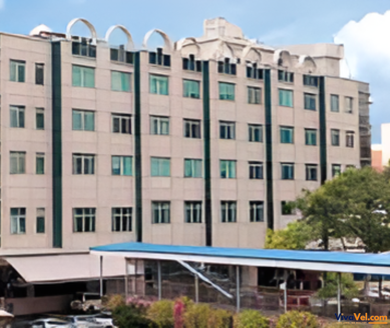 Global patient services at Thomson Medical Centre Singapore – seamless experience managed by VivaVel.com