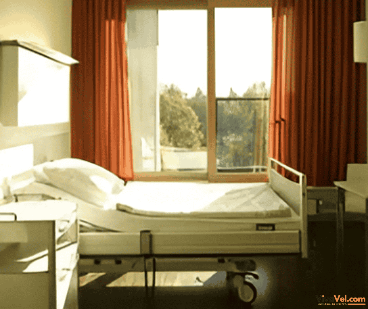 University Medical Center Hamburg-Eppendorf – advanced academic hospital in Germany for international care via VivaVel.com