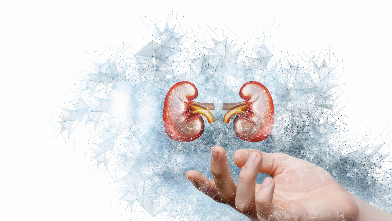 Kidney Transplant