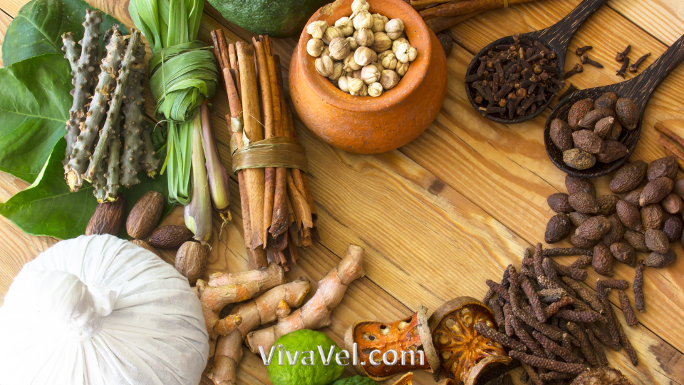 Nasya Therapy in India | VivaVel Health