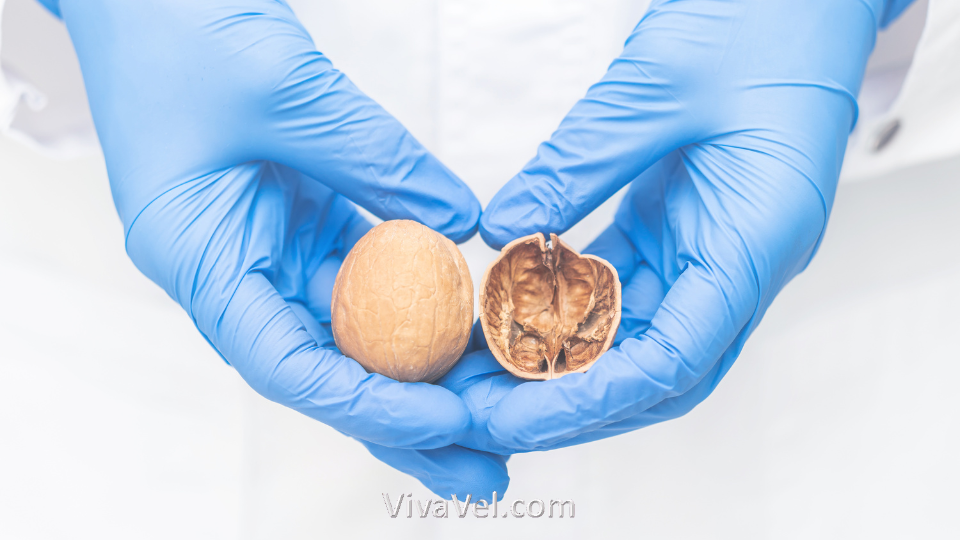 Testicular implant surgery treatment – VivaVel Health | India