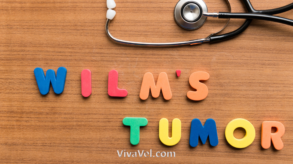 Wilms tumor surgical treatment – VivaVel Health | India