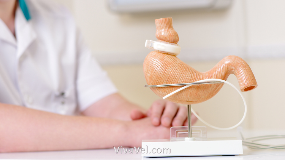 Whipple surgery treatment for pancreatic cancer – VivaVel Health