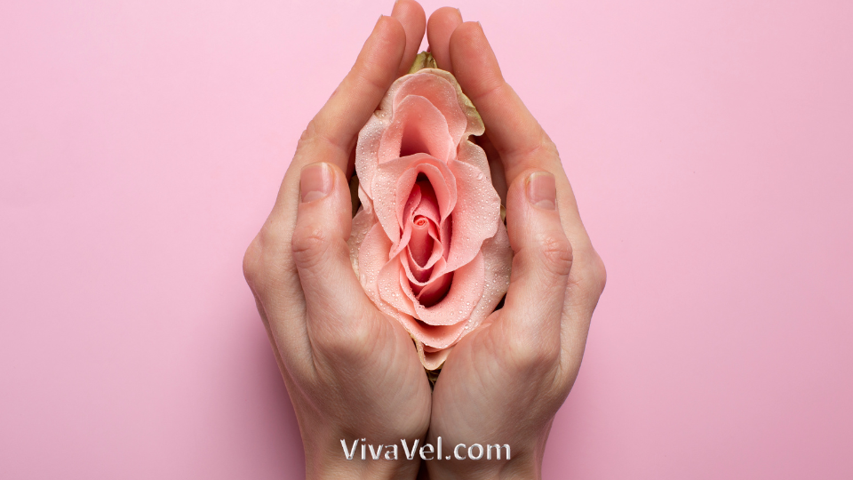 Vulvar cancer treatment options – VivaVel Health | India