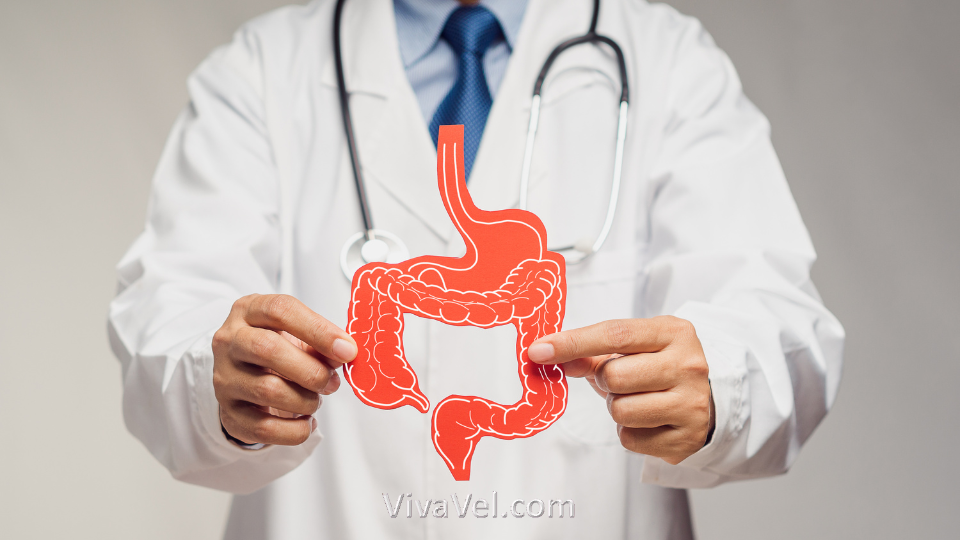 Small intestine cancer treatment – VivaVel Health | India