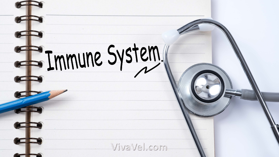Immunotherapy treatment for cancer – VivaVel Health