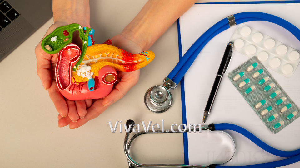 Pancreas transplant treatment – VivaVel Health | India