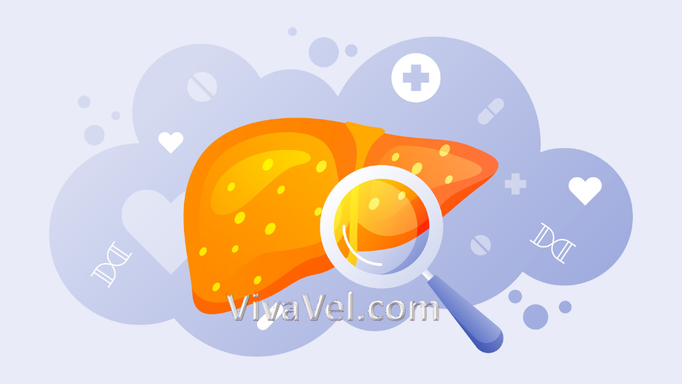 Pediatric liver transplant treatment – VivaVel Health