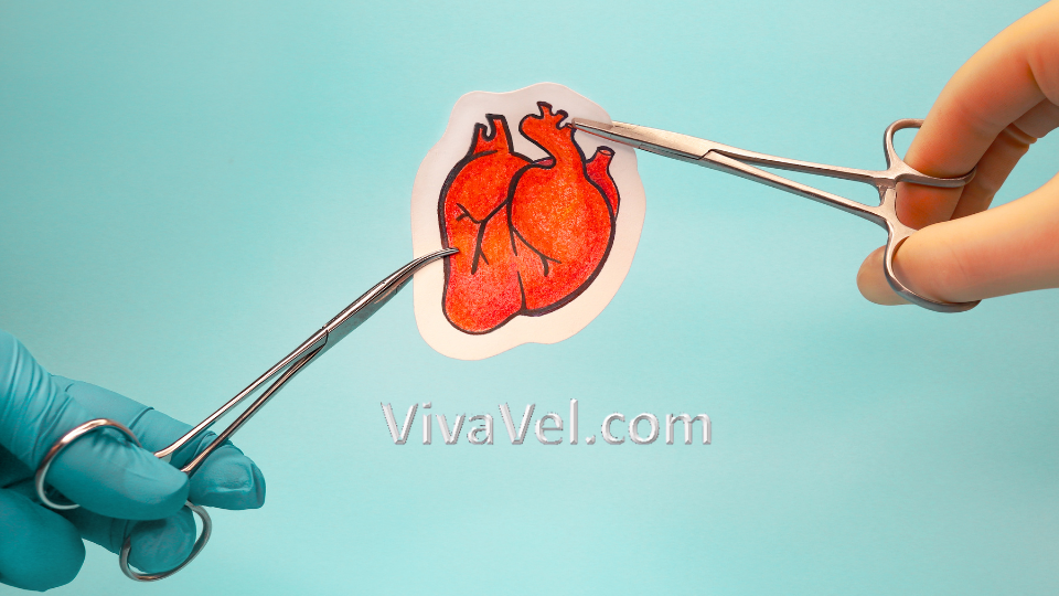 Tetralogy of Fallot repair treatment – VivaVel Health