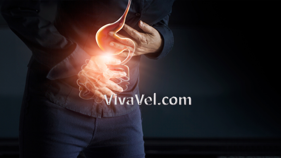 Gastric Band Surgery with VivaVel Health – Advanced Weight Loss Treatment in India