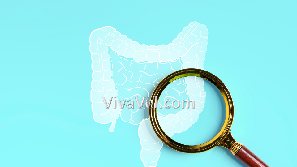 Gastric Bypass Surgery with VivaVel Health – Advanced Bariatric Care in India