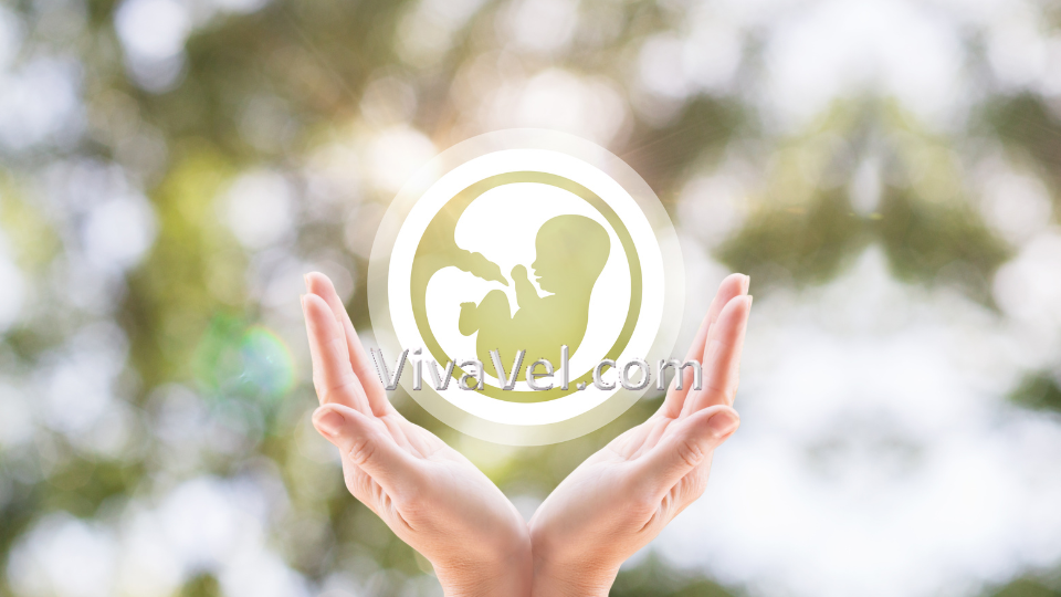 Embryo Transfer in India – Advanced IVF & Fertility Treatment | VivaVel Health
