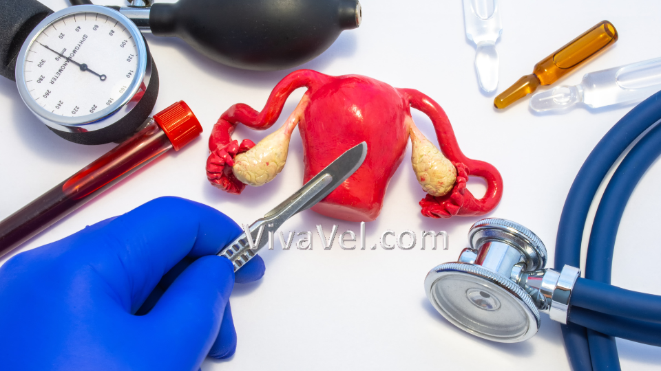Hysterectomy Surgery with VivaVel Health – Advanced Gynecological Care in India